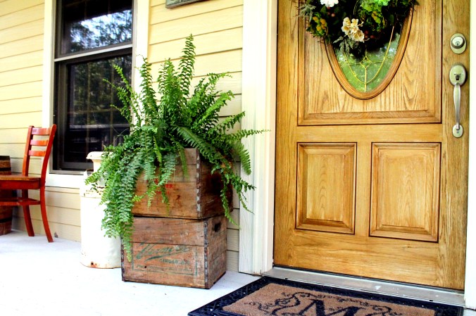 front door ferns
