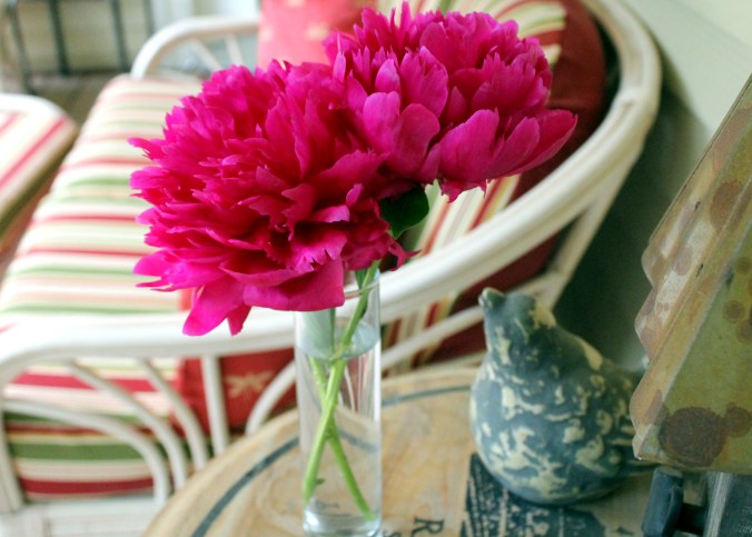 peonies on the porch