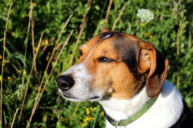 MWWM Sun in Eyes Waiting