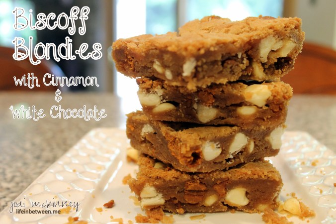 biscoff blondies title photo