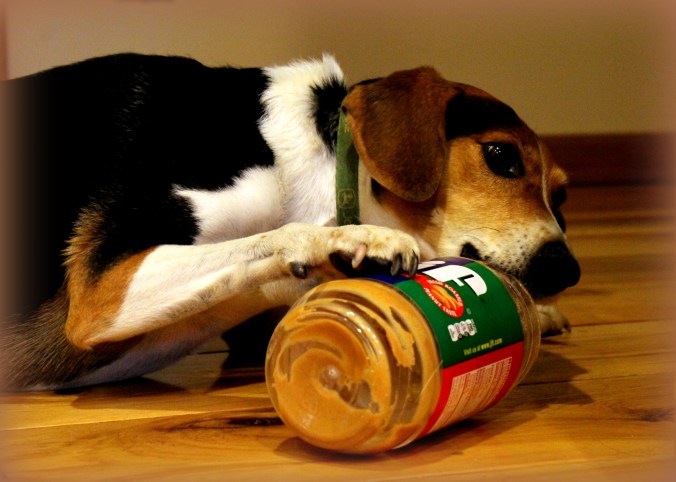 choosey dogs choose Jif