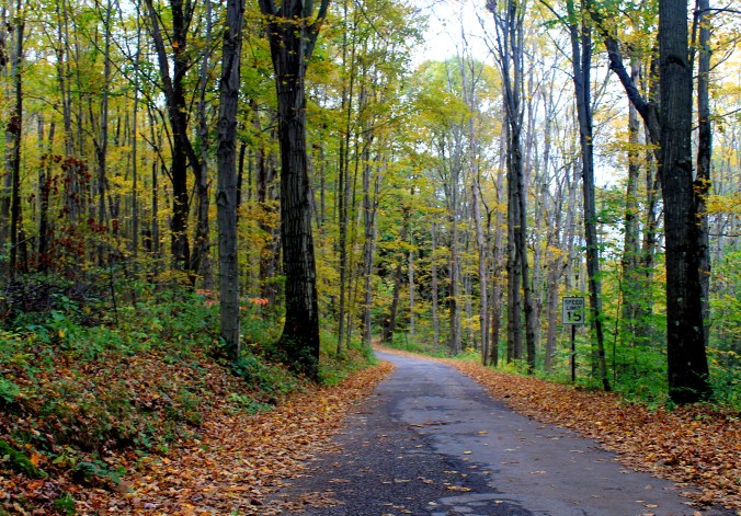 McConnell's Mills Covered Bridge Slippery Rock Creek PA State Park