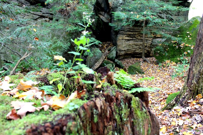 McConnell's Mills Covered Bridge Slippery Rock Creek PA State Park Jodi McKinney