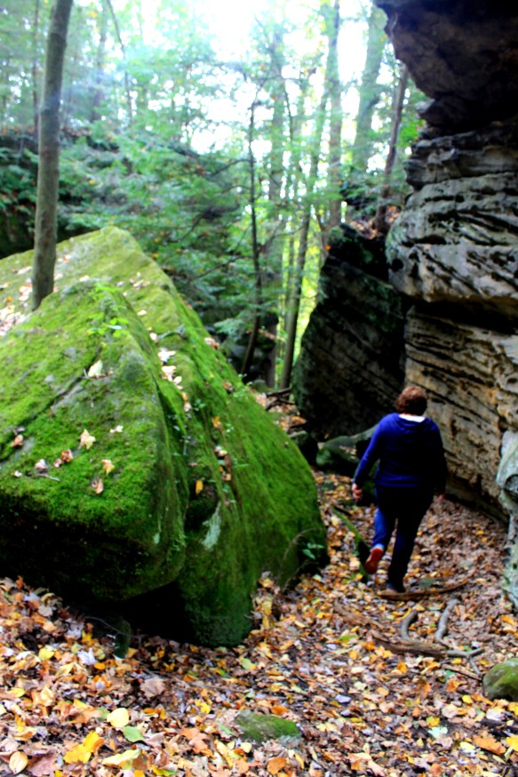 McConnell's Mills Covered Bridge Slippery Rock Creek PA State Park Jodi McKinney