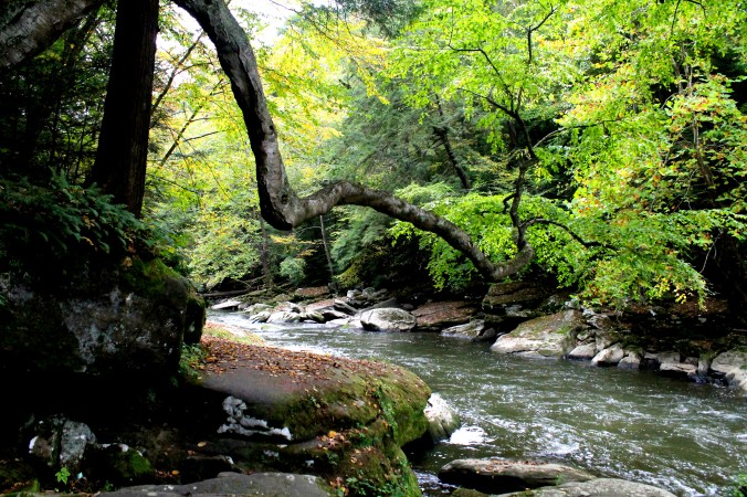 McConnell's Mills Covered Bridge Slippery Rock Creek PA State Park Jodi McKinney