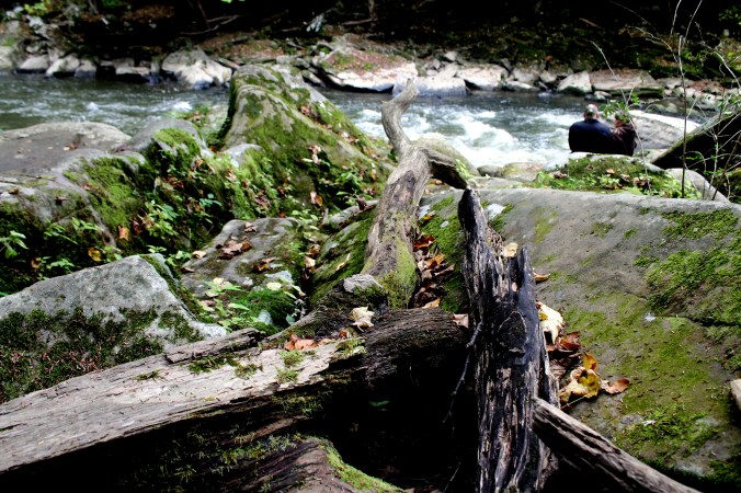McConnell's Mills Covered Bridge Slippery Rock Creek PA State Park Jodi McKinney