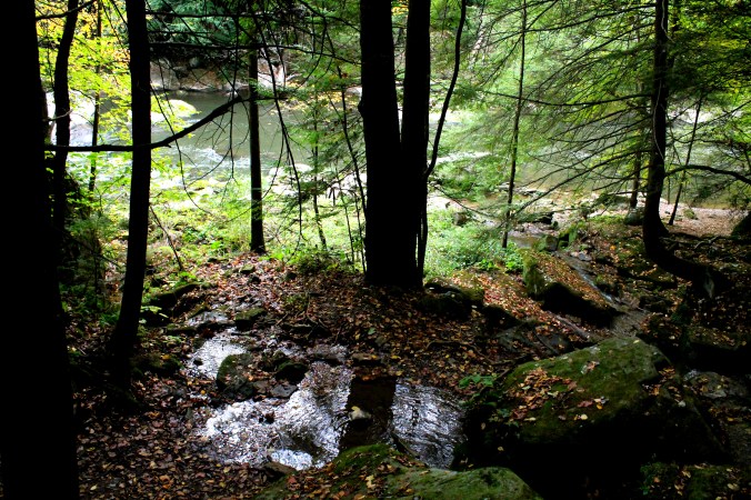 McConnell's Mills Covered Bridge Slippery Rock Creek PA State Park Jodi McKinney