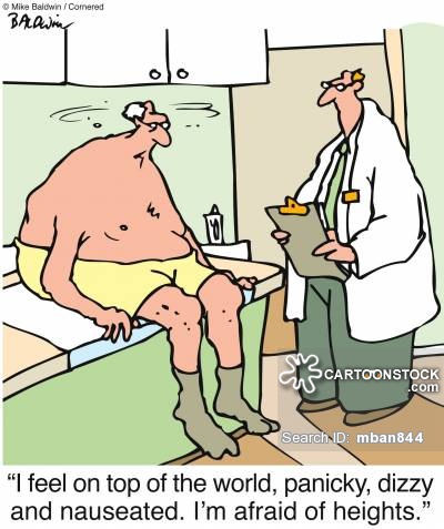 'I feel on top of the world, panicky, dizzy and nauseated. I'm afraid of heights.'