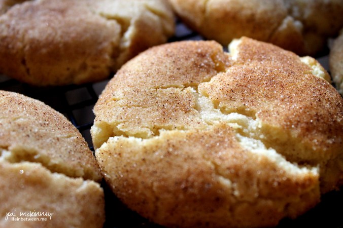 snickerdoodle 3