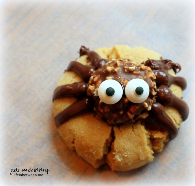 spider cookie