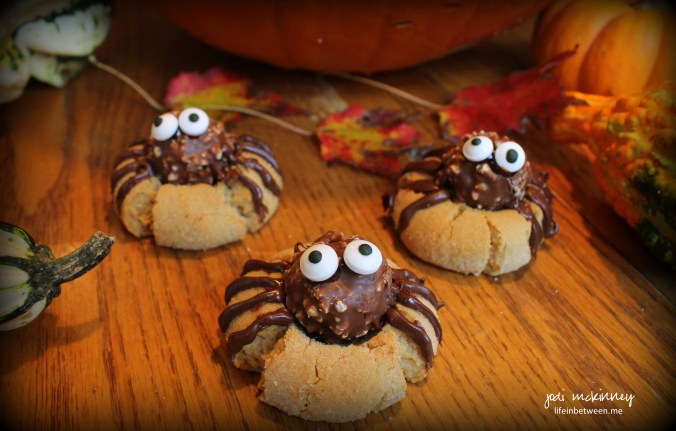spider cookies 2