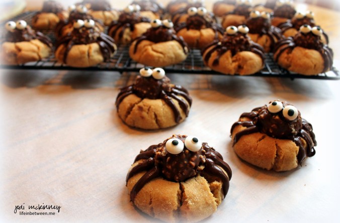spider cookies 4