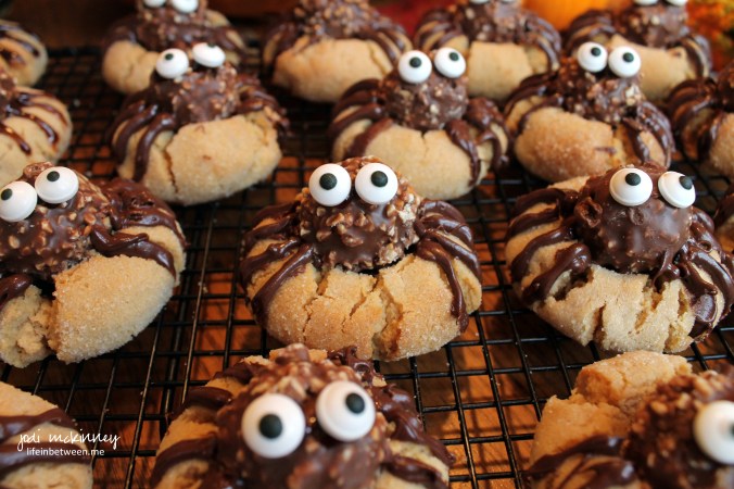 spider cookies