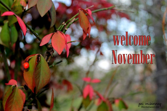 welcome november