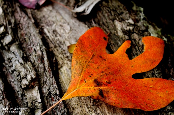 wwMc9 standing out in the crowd