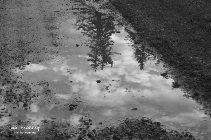 mud puddle reflection black and white
