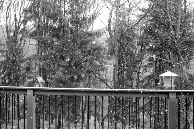 snowfall deck black and whire