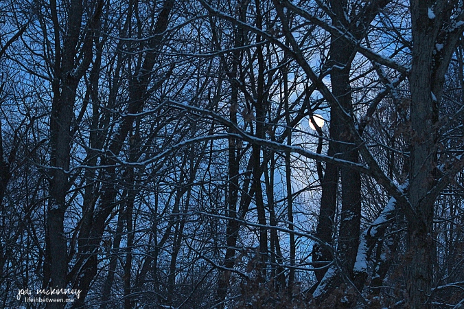 winter morning moon over mars