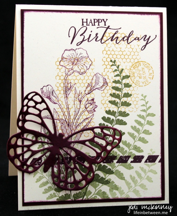 butterfly birthday 2