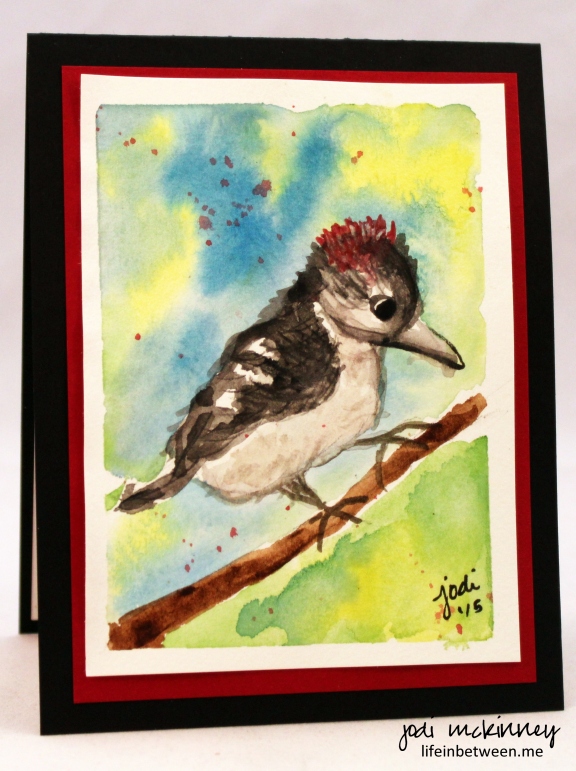 First Bird Drawing and Watercolor Downy Woodpecker
