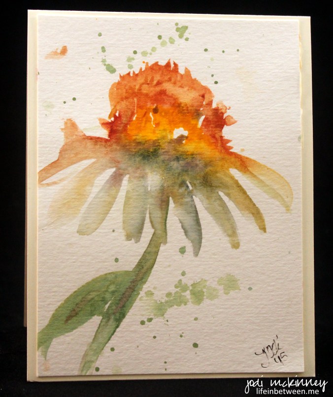 coneflower watercolor 3