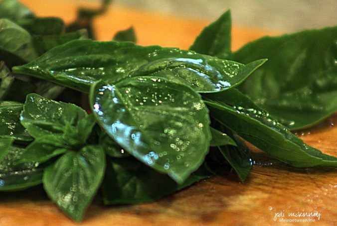 fresh basil