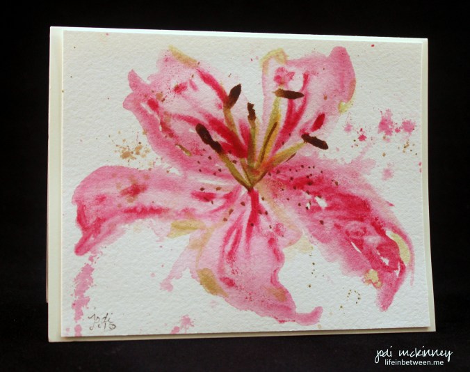stargazer lily 4