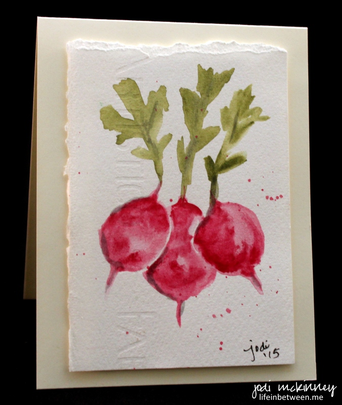 vegetable card radishes