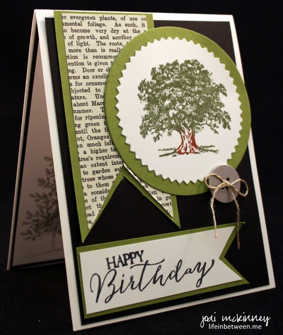 PP259 Lovely as a Tree Masculine Birthday Card