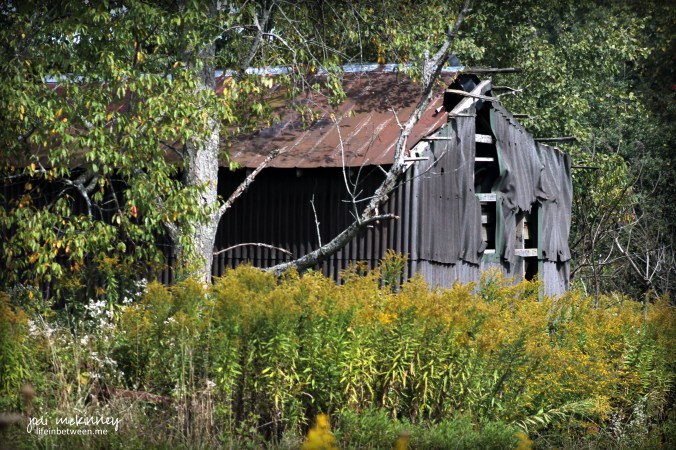 broken down barn autumn