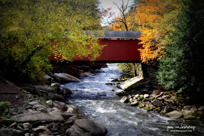 mcconnells mills 101715 1