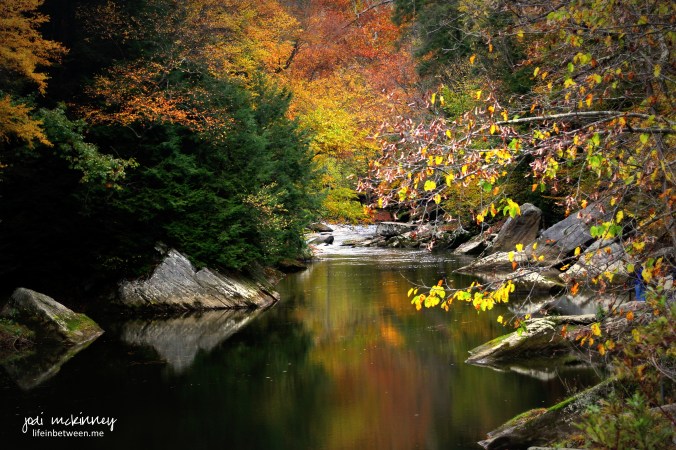 mcconnells mills 101715