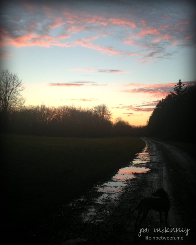 pink sky and puddles