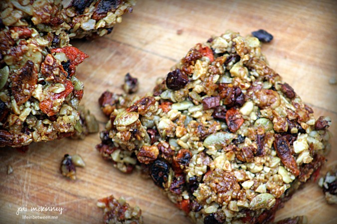 Goji Berry Energy Bars 2