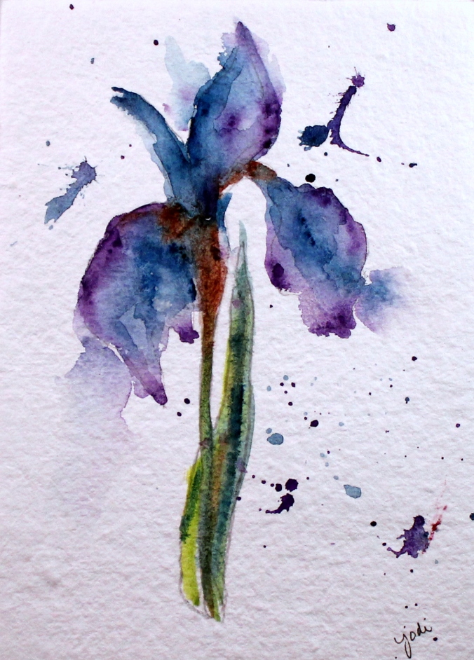 blue purple iris watercolor