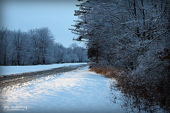 february snowy driveway