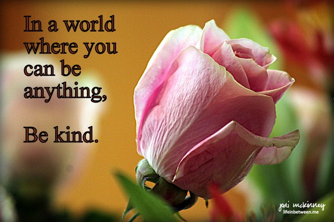 Be Kind Rose