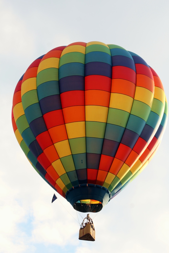 Hot Air Balloon WPA Balloonfest 8