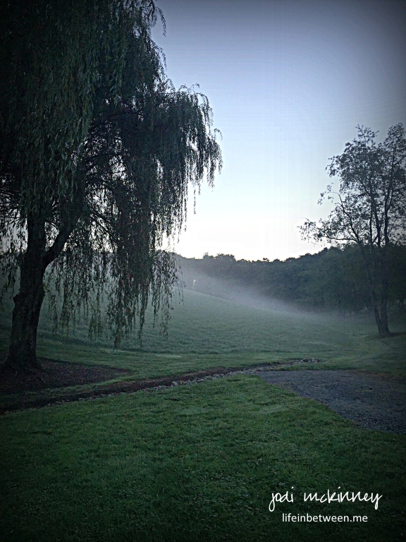 Morning Ride Home Fog 1