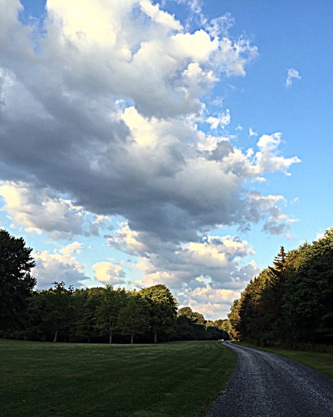 morning-clouds-driveway