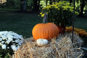 pumpkin-decorations