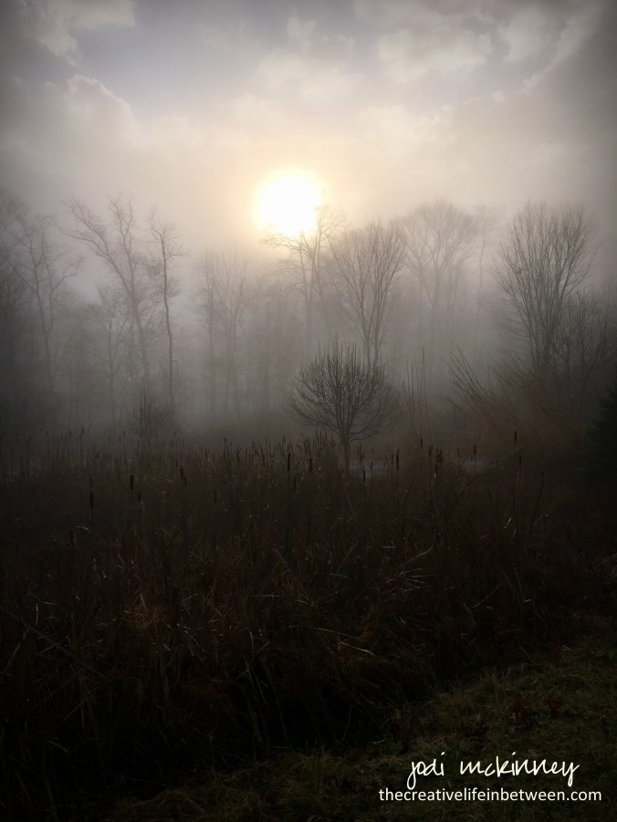 misty-morning-mars-pa-0117