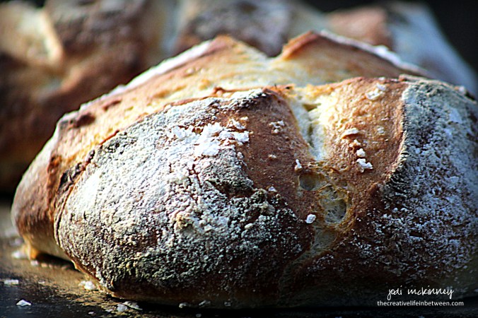 bread-5-minute-rustic-artisan-bread-3