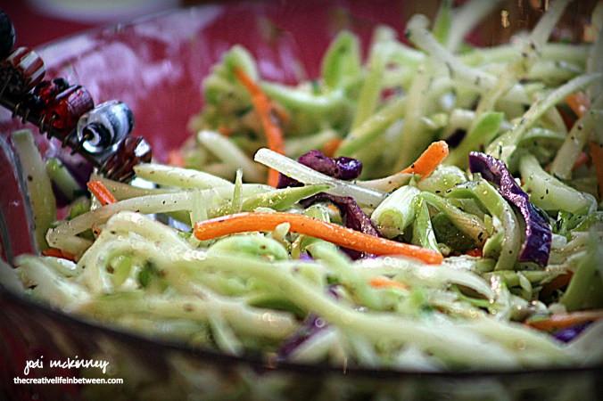 broccoli-slaw-with-viniagrette-dressing-1