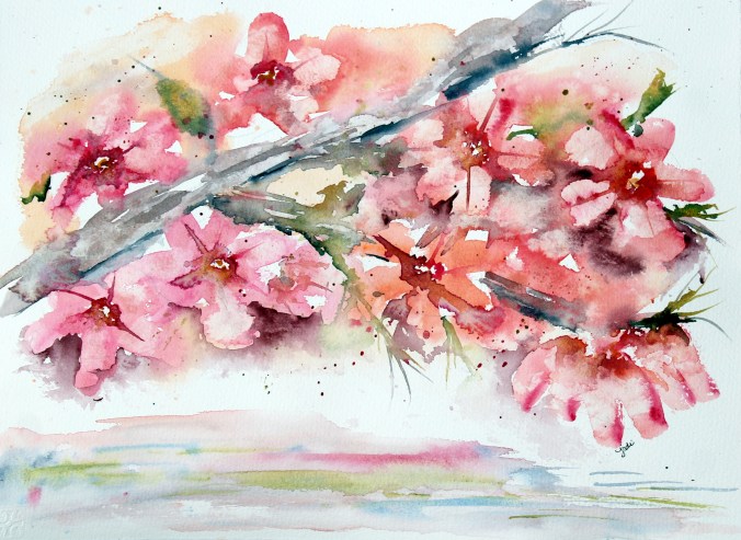 Pink Dogwood Blossoms Watercolor - 11x14 140lb Cold Press Saunders