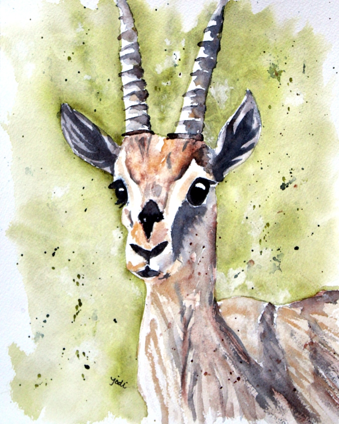 Adele the Gazelle Watercolor 8x10 140lb Arches Cold Press