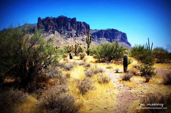 Scottsdale, AZ - July, 2017